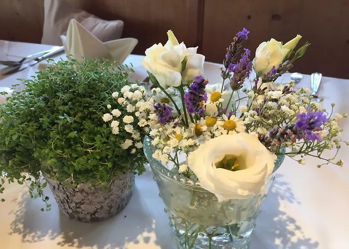 Hirschen Reith bei Seefeld